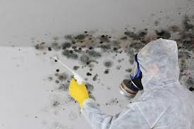 Best Biohazard Mold Removal in White Bluff, TN